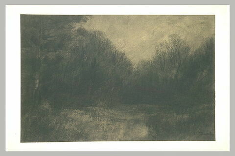 Paysage : pièce d'eau bordée d'arbres, au crépuscule, image 1/1