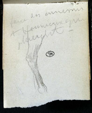 Notes manuscrites, et jambe de cheval, image 1/1