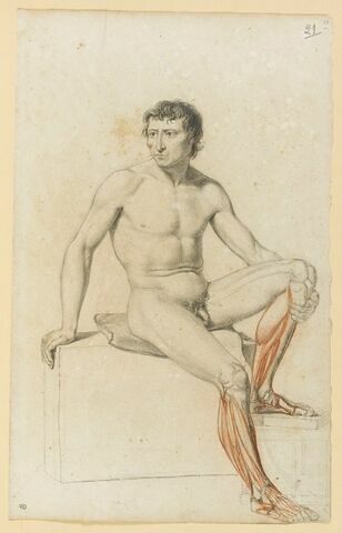 Etude académique et myologique d'un homme nu assis