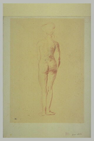 Jeune femme nue, vue de dos, coiffée d'un chignon, image 1/1