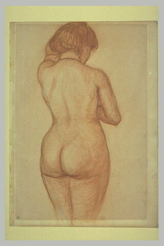 Femme nue, vue de dos, à mi-jambes, image 1/1