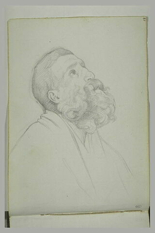 Buste d'homme barbu, vu de profil, image 1/1