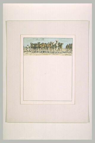Antar sépare mille chamelles du troupeau de Mounzir pour se les approprier, image 1/1