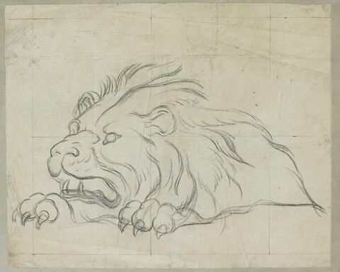 Lion menaçant, image 1/1