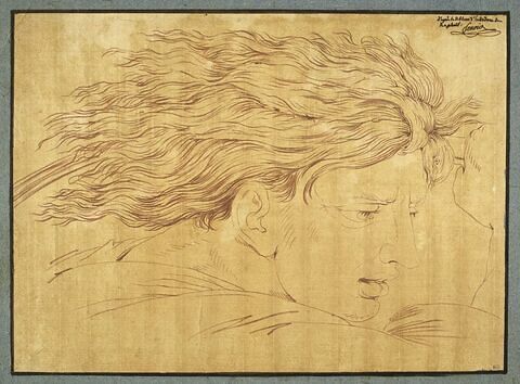 Tête d'homme, cheveux au vent, de profil à droite, image 1/1