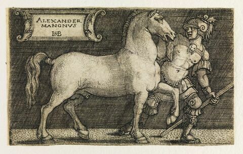 Alexandre le Grand avec Bucéphale, image 1/1