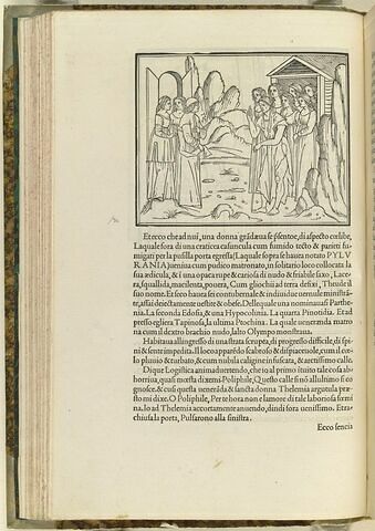 Poliphile avec Theude, Parthénia, Eudosia, Hypocolinia, Pinotidia, Papinosa et Ptochina, image 1/1