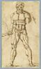 Homme nu, debout, vu de face, les jambes écartées, tenant un bâton: Hercule?, image 2/2