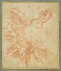 Anges dans les nuées tenant une cordelière avec un noeud de capucin, image 1/4