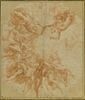 Anges dans les nuées tenant une cordelière avec un noeud de capucin, image 4/4