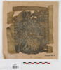 clavus ; fragment, image 1/2