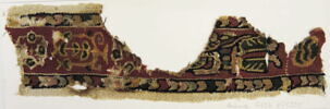clavus ; fragment, image 2/2