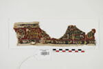 clavus ; fragment, image 1/2