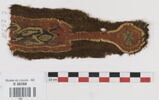 clavus ; fragment, image 1/2
