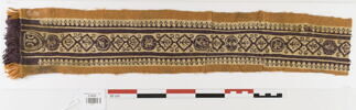 clavus ; fragment, image 1/2
