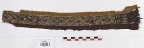 clavus ; fragment, image 1/2