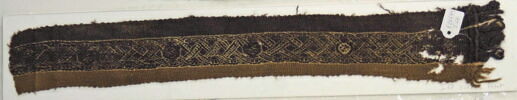 clavus ; fragment, image 2/2