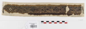 clavus ; fragment, image 1/2