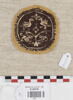 orbiculus ; fragment, image 1/2
