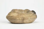 lampe à la grenouille, image 3/4