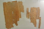papyrus documentaire, image 2/4