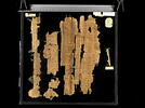 Papyrus Mimaut, image 9/22