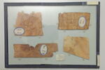 parchemin, image 2/2