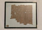 papyrus documentaire, image 2/2