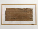 Papyrus Chassinat 11, image 2/2
