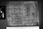 papyrus funéraire, image 6/9