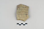 ostracon, image 1/3