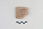 ostracon, image 1/3