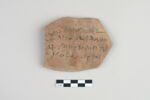 ostracon, image 1/3
