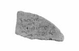 ostracon, image 1/2