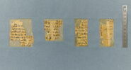 papyrus funéraire, image 19/29