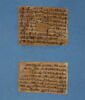 papyrus documentaire, image 1/2