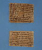 papyrus documentaire, image 2/2