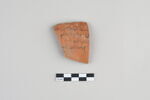 ostracon, image 1/3