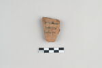 ostracon, image 1/2