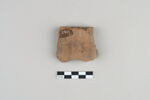 ostracon, image 2/3