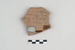 ostracon, image 2/4