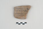 ostracon, image 1/3