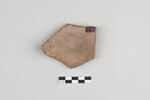 ostracon, image 2/3