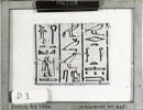 papyrus, image 2/2