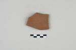 ostracon, image 1/3