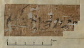 papyrus documentaire, image 4/4