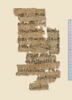 papyrus documentaire, image 1/4
