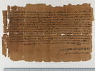 papyrus documentaire, image 1/6