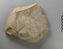 ostracon figuré, image 3/3