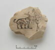 ostracon figuré, image 1/3
